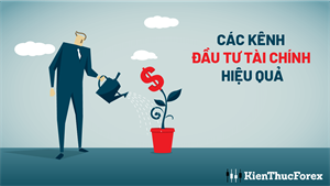 7 cách đầu tư tài chính hiệu quả cho người mới bắt đầu